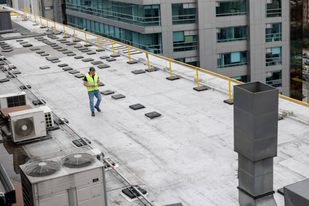 Best Skylight Installation and Repair  in Red Bank, SC